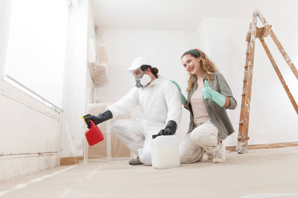 Asbestos and Lead Testing During Mold Inspection in Elgin, TX